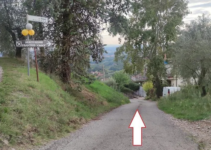 Pettocannella Massa e Cozzile